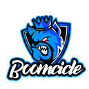 Boomcicle